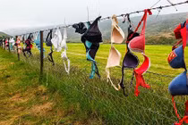 Đỏ mặt với hàng rào áo con quái dị ở New Zealand 