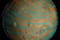 Kinh ngạc "hiệu ứng gợn sóng" từ địa hình cực đoan sao Hỏa 