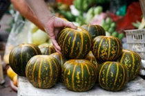 Những khám phá gây sửng sốt về quả dưa bở