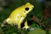 Sự thật kinh ngạc về thế giới động vật (1)