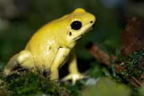 Sự thật kinh ngạc về thế giới động vật (1)