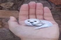 Những bức tranh 3D ngộ nghĩnh trong lòng bàn tay cực độc