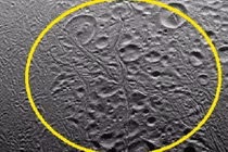 Tìm thấy sao biển khổng lồ trên mặt trăng Enceladus?