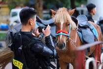 Hình ảnh loài ngựa mới "nhập ngũ" đoàn kỵ binh của CSCĐ tung vó thảo nguyên