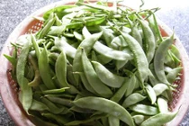 Tiết lộ những khám phá “sốc” về cây đậu ván quen thuộc