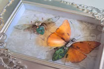 Thế giới côn trùng lung linh từ rác điện tử 