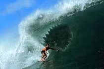 Rợn người với tay lướt ván giỡn mặt tử thần cá mập 