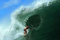 Rợn người với tay lướt ván giỡn mặt tử thần cá mập 