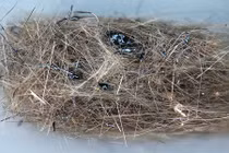 Kỳ thú xem tóc và nước mắt núi lửa 