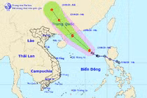Thời tiết ngày 13/6: Bão số 1 gây mưa, biển động rất mạnh
