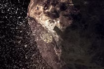 Một tiểu hành tinh cỡ "khủng" sắp tiến gần Trái đất 