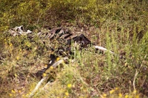 Rùng mình vào các trang trại xác chết trên thế giới