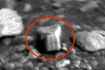 Phát hiện vật thể nghi hóa thạch răng cổ trên sao Hỏa