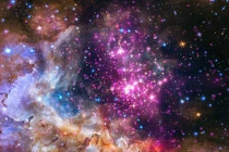 Những sự thật thú vị về các ngôi sao bạn không ngờ tới