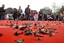 Hàng trăm con bướm xinh chết thảm sau khi được phóng thích