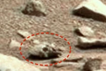 Kỳ bí ảnh giống sọ người ngoài hành tinh trên sao Hỏa 