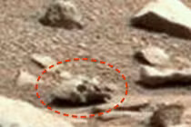 Kỳ bí ảnh giống sọ người ngoài hành tinh trên sao Hỏa 