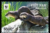 Cặp rái cá Đan Trường nuôi nhốt từng xuất hiện trong tem thư Việt Nam