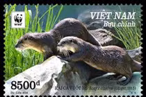 Cặp rái cá Đan Trường nuôi nhốt từng xuất hiện trong tem thư Việt Nam