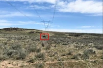 Sau cá mập, đến đàn bò là nguyên nhân gây... đứt cáp quang