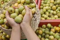 Khám phá thú vị về quả táo mèo nổi tiếng