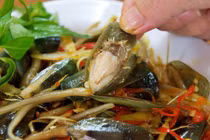 Khám phá ít người biết về ốc tài xỉu