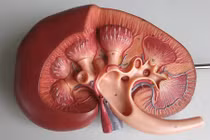 	Sự thật giật mình về chính con người chúng ta (2)