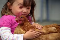 Chết cười bộ dạng khi chủ nhân và thú cưng "đổi mặt"