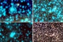 Kỳ thú cụm sao hình cầu mới trong thiên hà Milky Way