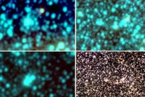 Kỳ thú cụm sao hình cầu mới trong thiên hà Milky Way