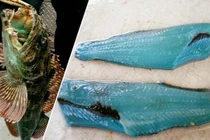 Phát cuồng với loạt tác phẩm nghệ thuật kỳ dị của thiên nhiên 