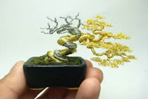Những chậu cây bonsai kỳ quái nhất hành tinh 