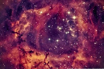 Nhiều ngôi sao cực nóng đồng loạt phát sáng trong Tinh vân Rosette