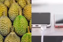 Phát hiện mới: Sầu riêng có thể giúp sạc điện thoại với tốc độ cực nhanh