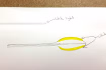 Sửng sốt với hình ảnh giống UFO hình chiếc muỗng