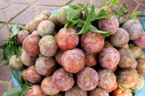 Mận tam hoa và những khám phá gây bất ngờ