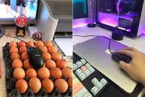 Muôn kiểu lót chuột cực dị của game thủ: Khay trứng cũng không tha