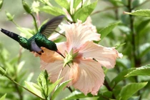 Sự thật kỳ thú về thế giới động vật quanh ta (2)