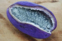 Kỳ thú loại nho tím quả cực "khủng", lại có thể xào nấu