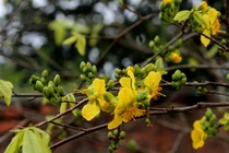 View - Tự hào Di sản Văn hóa thế giới Yên Tử - Vĩnh Nghiêm - Côn Sơn, Kiếp Bạc | Báo Tri thức và Cuộc sống - TIN TỨC PHỔ BIẾN KIẾN THỨC 24H