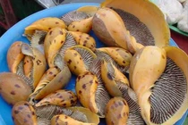 Đặc sản tên rất lạ, mỗi năm chỉ có một mùa, nay bán 200.000 đồng/kg dân thành phố tranh nhau mua vì hương vị đặc biệt