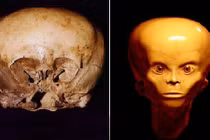 Tận mục hộp sọ nghìn tuổi của người ngoài hành tinh