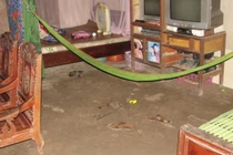 Vụ sát hại bố mẹ do ngáo đá: Hung thủ mới đi tù về