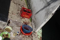 Vợ đâm chồng tử vong bằng bỏ chai bia đập vỡ