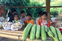 Độc đáo ‘chợ sản vật 10 nghìn’ chênh vênh trên đèo Măng Rơi