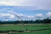 Kho ảnh khổng lồ về VN 1991-1993: Nỗi ám ảnh Mỹ Lai