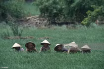 Loạt ảnh muôn đời giá trị về Việt Nam thập niên 1990 (1)