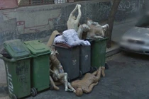 Những bức ảnh chụp từ Google Street View siêu kinh dị (1)