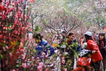 Thủ tướng chốt lịch nghỉ Tết Nguyên đán năm 2020