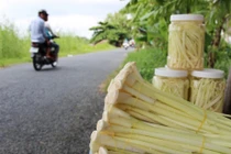 Bồn bồn - loài cây một thời vất vả phá bỏ, nay dân đổ xô trồng